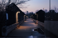 Illuminate-the-Way