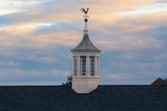 Rooster-in-the-Sky